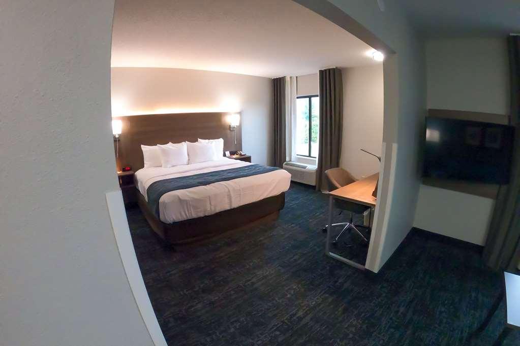 Comfort Inn&Suites Troutville - Roanoke North / Daleville Rom bilde