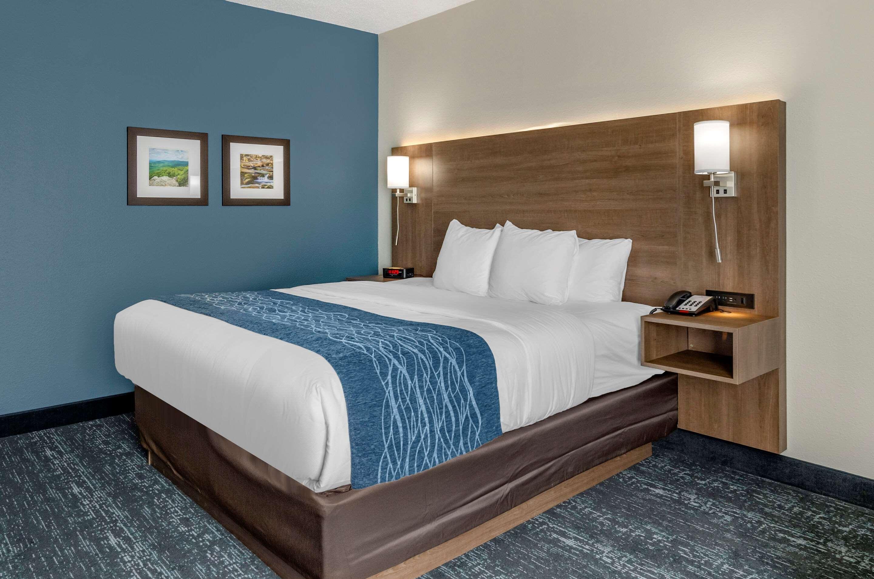 Comfort Inn&Suites Troutville - Roanoke North / Daleville Eksteriør bilde