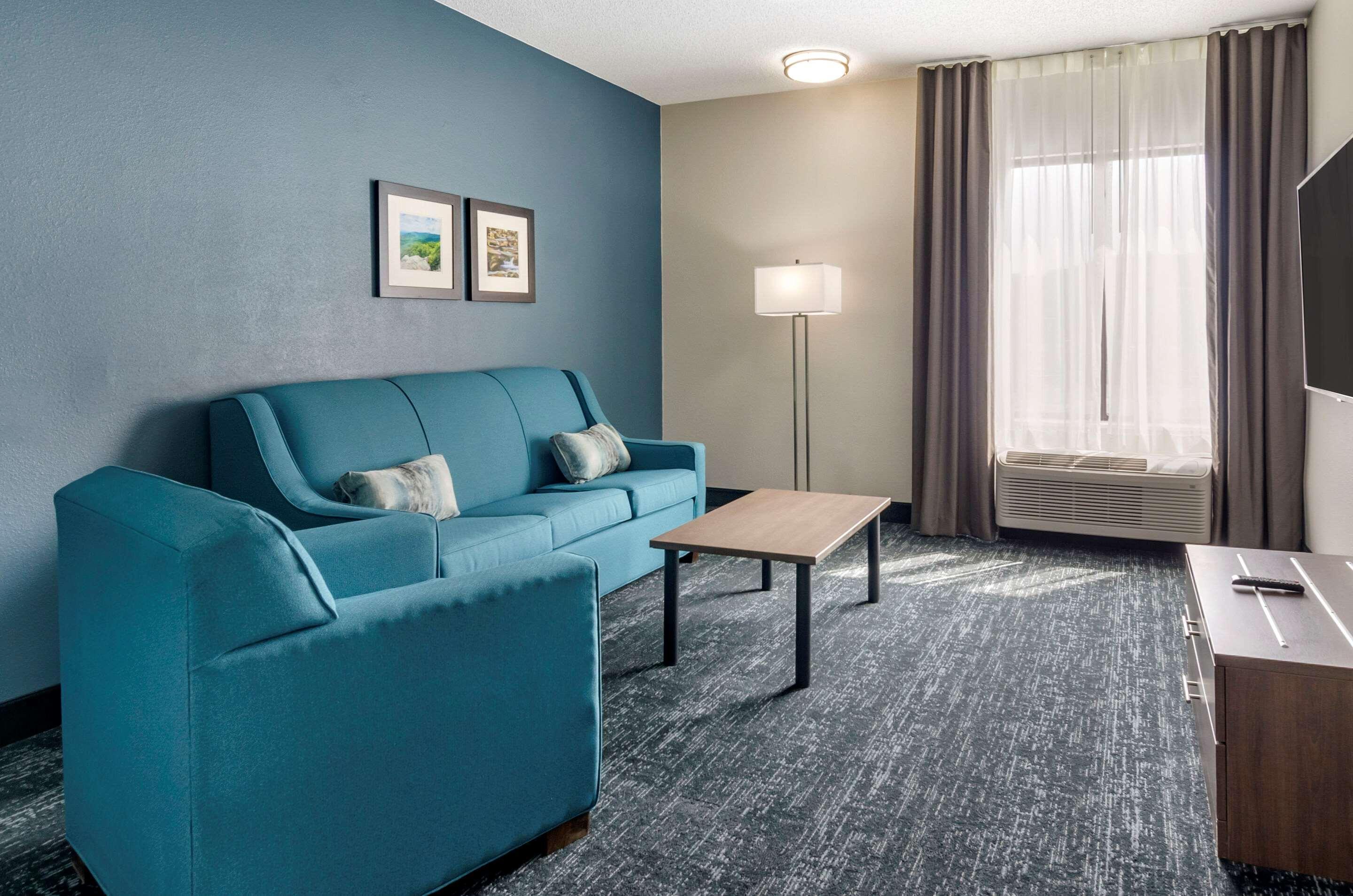 Comfort Inn&Suites Troutville - Roanoke North / Daleville Eksteriør bilde