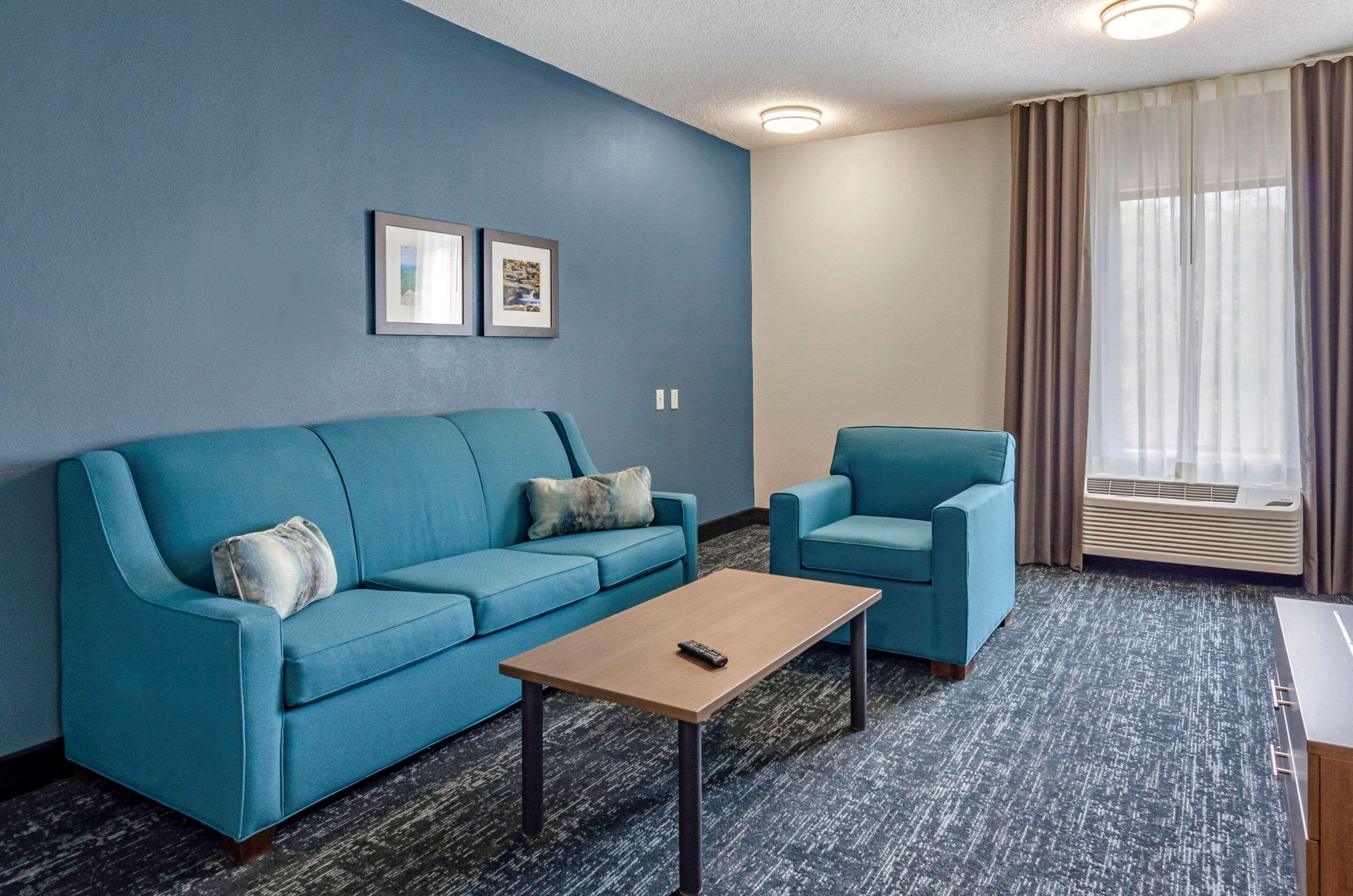 Comfort Inn&Suites Troutville - Roanoke North / Daleville Eksteriør bilde